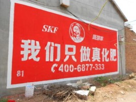 成都刷墙广告”蕴含了时代命题