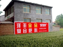 成都如何让墙体广告展现最大化效果