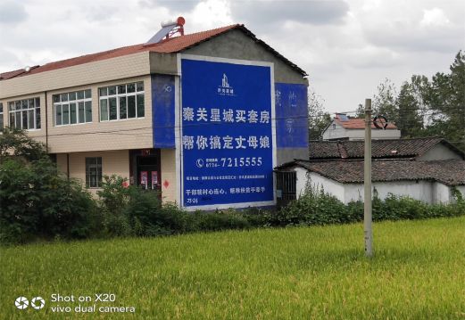 成都决定墙体广告价格的因素有哪些?
